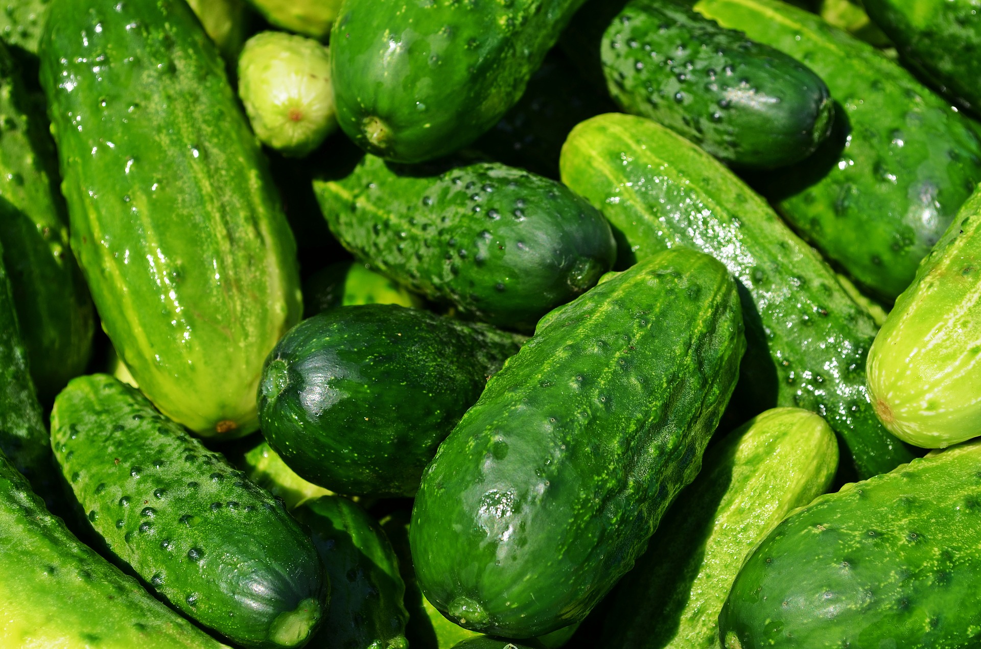 Cucumbers-849269_1920 Pixabay.jpg
